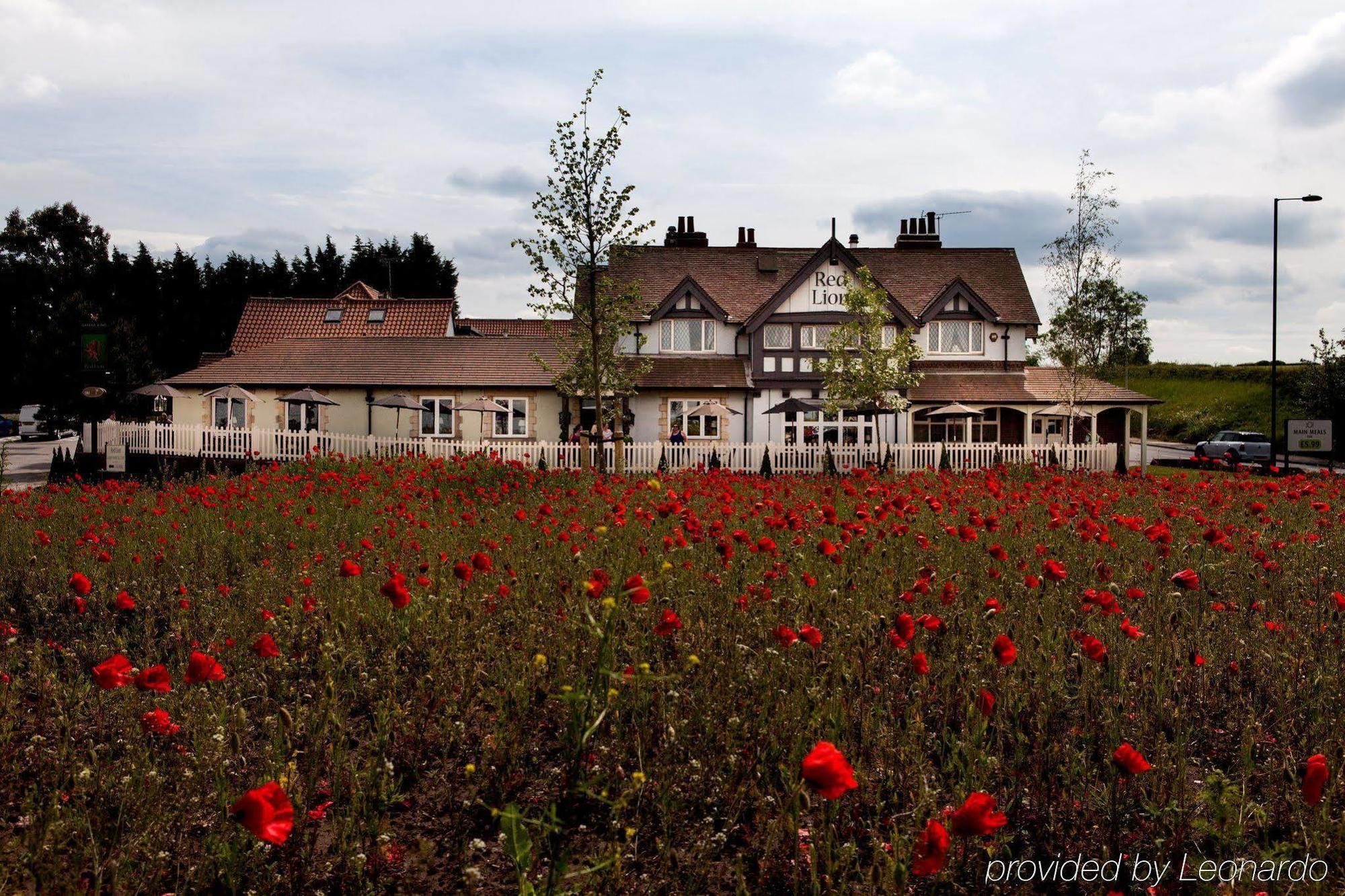 The Red Lion Inn By Chef & Brewer Collection Todwick Buitenkant foto